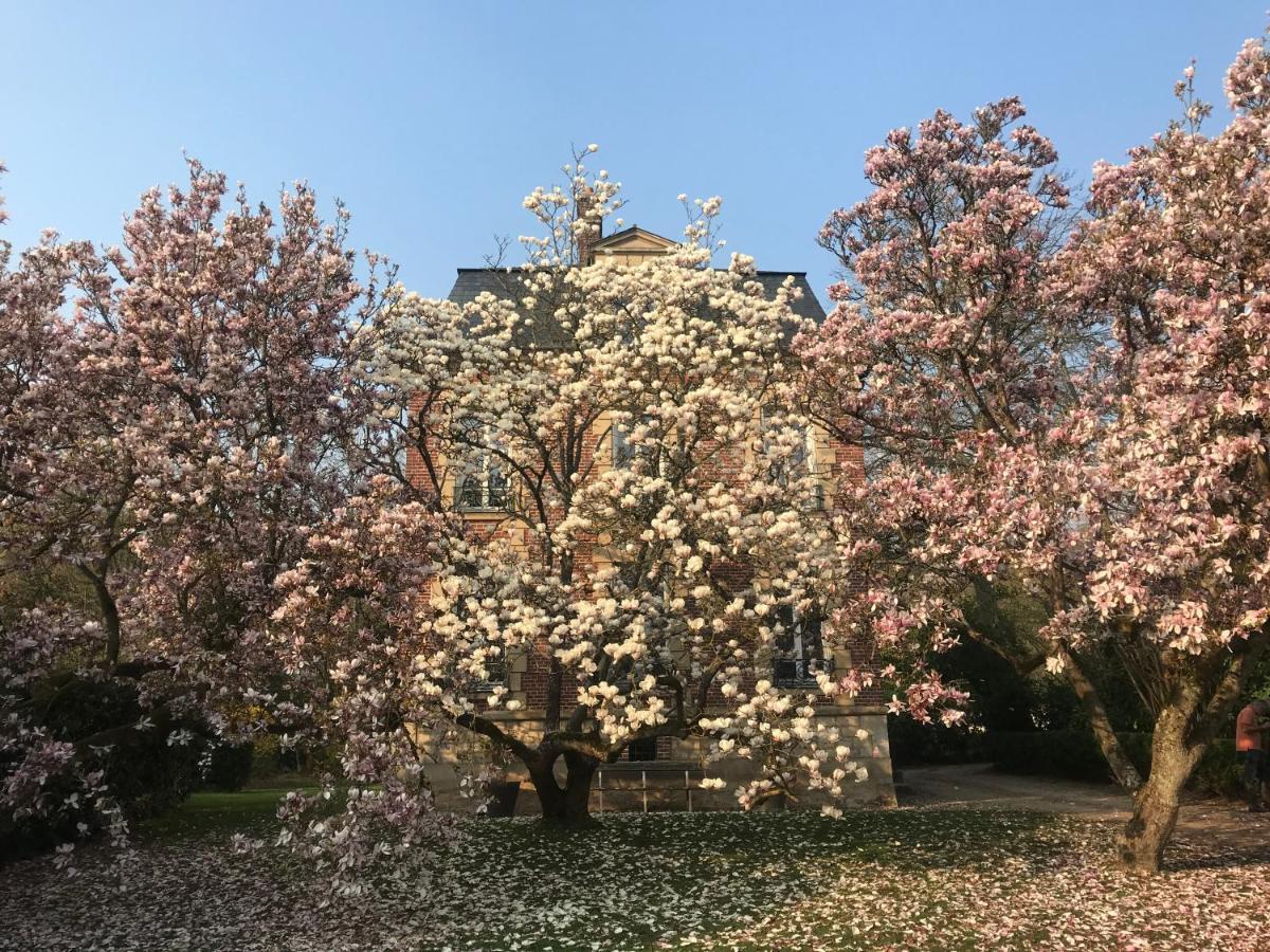 L'Atelier Des Magnolias Bed & Breakfast Aumont-en-Halatte Екстериор снимка